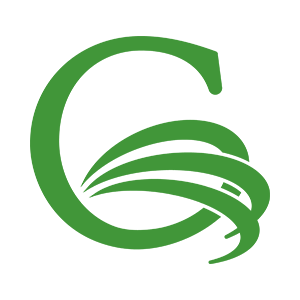 georgia center for non profits logo